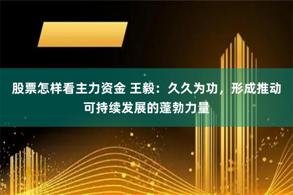 股票怎样看主力资金 王毅：久久为功，形成推动可持续发展的蓬勃力量